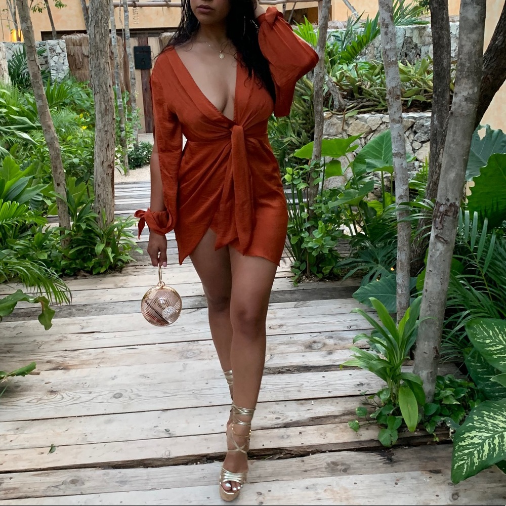 Rust Mini Dress - Picture 3 of 3